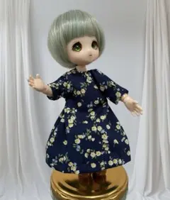 ミニスウィーツドール アニス1 あまむす 本体 オビツ11 ドールDOLL