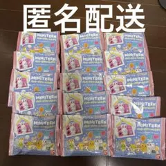 MINITEEN パッケージチャーム＆グミ グミのみ 15袋のサムネイル