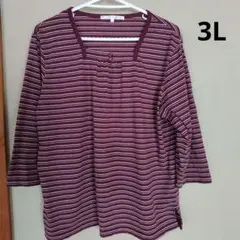 b.s Saddle 3L ワインレッド ストライプ 長袖