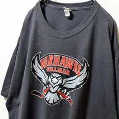 ジャージーズ ウィルマーウォーホークス ロゴ Tシャツグレー灰色XL古着