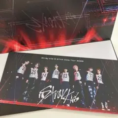 straykids ドームツアー　アプグレ特典　ピクチャーチケットsclass