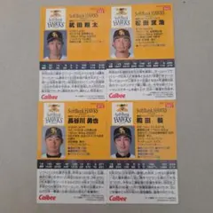 Item thumbnail for item 66f08d2e-d180-4251-a3e9-f7a8295a174b