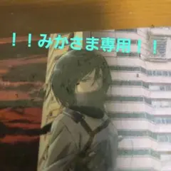 ！！みかさま専用！！