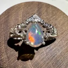 サザエの入れ歯様 リクエスト 2点 まとめ商品