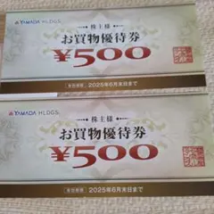 ヤマダ電機 お買物優待券 1000円分