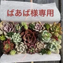 ばあば様 リクエスト 2点 まとめ商品