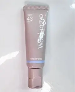 Wonjungyo 下地 カラーコントロール