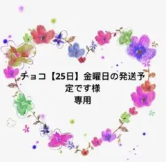 チョコ【25日】金曜日の発送予定です様 リクエスト 4点 まとめ商品