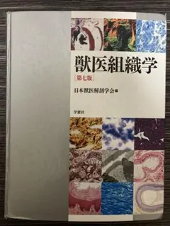 Item thumbnail for item e7fcf8ba-a879-4ae1-9001-c7721889f8cf