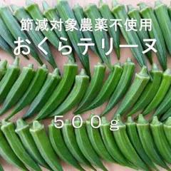 おくら「テリーヌ」　ネコポス500ｇ　オクラ　節減対象農薬不使用　稲垣農園のサムネイル