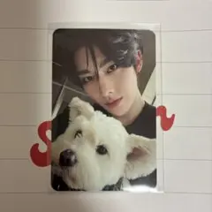 ZB1 リッキー トレカ All封入 レオトレカ