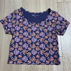 PAUL &JOE UT 半袖カットソー　ユニクロ　パープル　Ｌサイズ