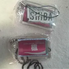 SHIBA 芝 楓 ネームHiGH&LOW