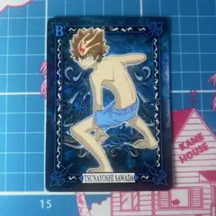 家庭教師ヒットマンリボーン！ サザンクロスバトル 沢田綱吉 002 レア ②