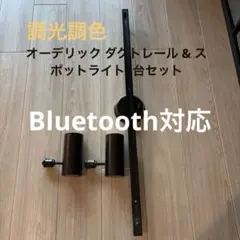 オーデリック ダクトレール & スポットライト2台セット（ブラック）のサムネイル