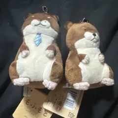 もふもと かまいたち 2点 まとめ商品