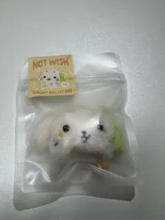 NCT WISH WISHDOLL リョウ