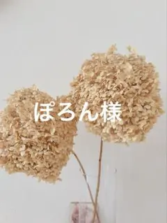 専用　イーマリーちゃんサイズのお洋服