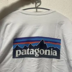 patagonia XL Tシャツ 山のシルエット