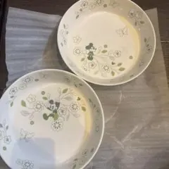 ミッキー＆ミニー ディズニー パスタカレー皿 2枚セット グリーン
