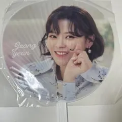 2025年最新】twice ジョンヨン うちわの人気アイテム - メルカリ