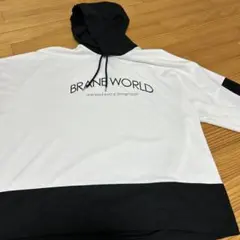 Item thumbnail for item df922520-3788-449f-9a1d-6fd71be513a1