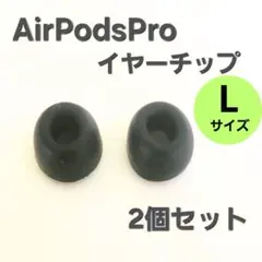 【L】AirPods Pro　イヤーチップ　２個セット　ブラック　シリコン　互換