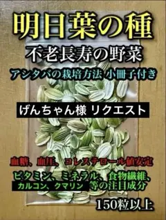 げんちゃん様 リクエスト 2点 まとめ商品
