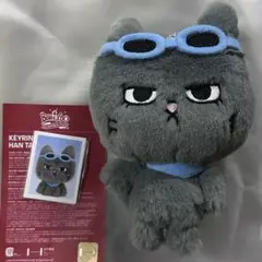 BOYNEXTDOOR BBNEXDO プネクドキーリング テサン　ハンテップン