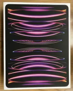 【新品】iPad Pro 第6世代 12.9インチ 128GB スペースグレイのサムネイル