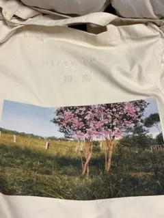 Item thumbnail for item 20e6d165-4ee5-4160-9d82-7d24666812bc