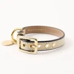 Item thumbnail for item ffdb5cf9-9e86-418b-af4d-c5545c2fc0d5