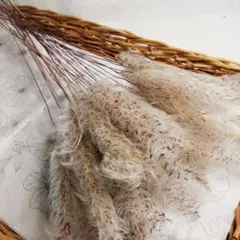 うっこ様 リクエスト 4点 まとめ商品