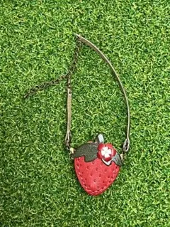 ブライス　アイシードール　ミニパオラサイズ　いちごバック