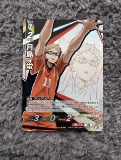 ハイキュー!! バボカ　月島 蛍　頂