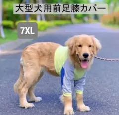 Item thumbnail for item d4793319-e2e5-48c3-8e6f-193cbe513b97