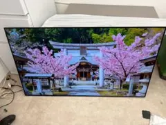 2026年最新】oled65cxpjaの人気アイテム - メルカリ