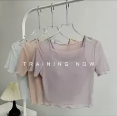 シアートップス×ブラトップ 2点セット ヨガウェア ピラティス トレーニングLのサムネイル