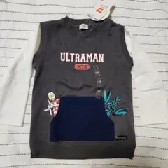 Item thumbnail for item 6c726fb8-bd65-4070-8089-e9172d7dda15