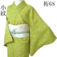 小紋 着物 袷 地紋 小菊 菊 柴垣 黄緑 裄68 細身 Ｌ 中古 sn1893