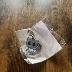 TXT テヒョンプルバトゥ ポップアップ ダゴニャン　アクリルキーホルダー