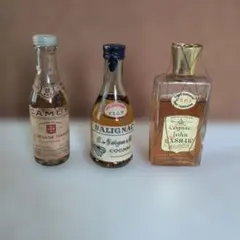 2026年最新】salignac cognacの人気アイテム - メルカリ