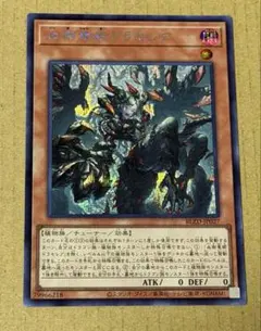 2026年最新】血樹竜姫ドラセレア シークレットの人気アイテム - メルカリ