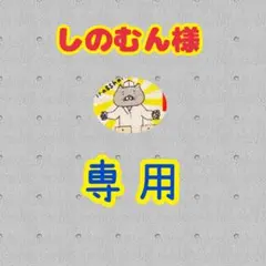 しのむん様専用ページ