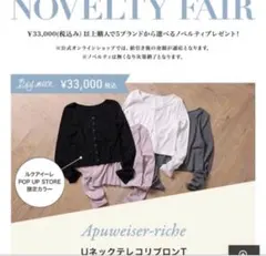 アプワイザーリッシェ ノベルティ UネックテレコリブロンT グレー