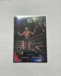 Item thumbnail for item f4b29a4b-0760-4a8d-b2a2-2f8524332c6b