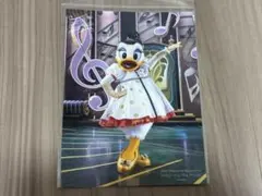 東京ディズニーリゾート デイジーフォト