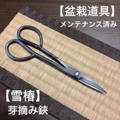 2026年最新】昌国 鋏の人気アイテム - メルカリ