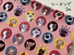 2m　猫　ネコ　コスモ　シーチング　水玉　ドット　pink　44Q