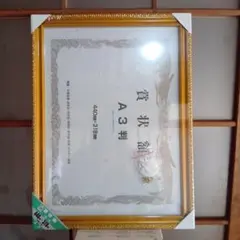 A3サイズ用額縁